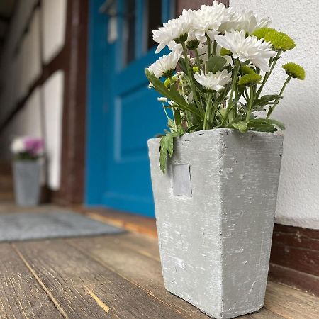 Traumhaft Wohnen Im Haus Blum Apartman Herbolzheim Kültér fotó
