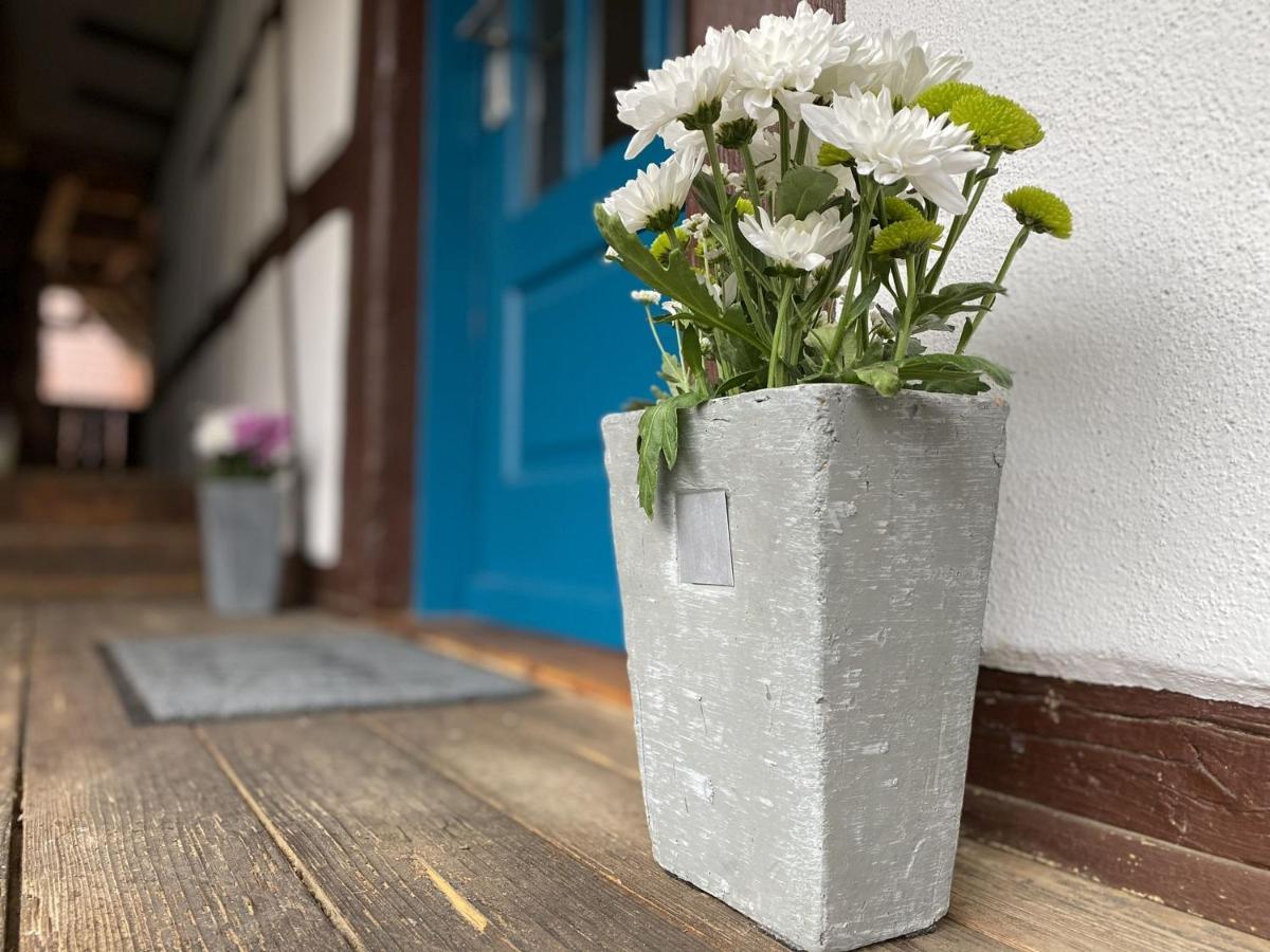 Traumhaft Wohnen Im Haus Blum Apartman Herbolzheim Kültér fotó
