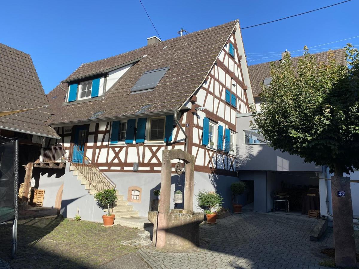 Traumhaft Wohnen Im Haus Blum Apartman Herbolzheim Kültér fotó